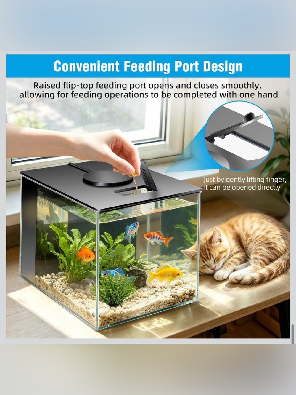Small Fish Tank Kit 1 Gallon Aquarium - Picture 5 of 7